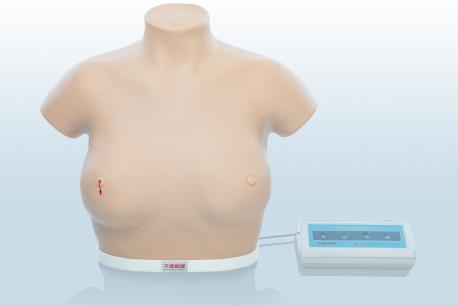 電子乳腺癌觸診、視診訓練模型