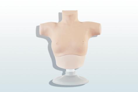 乳腺癌觸診、視診訓練模型